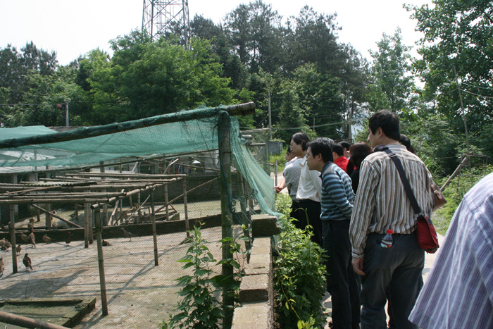 赏金船长(中国)官方网站