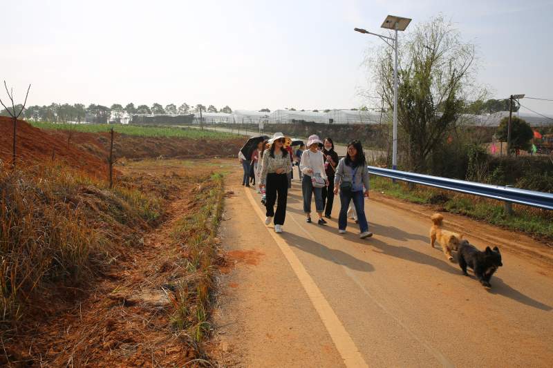 赏金船长(中国)官方网站